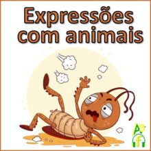 Expressões com animais usadas no Brasil