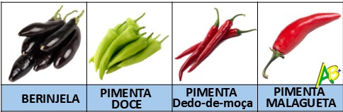 pimentas-berinjela