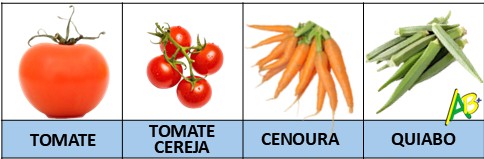 tomate-cenoura-quiabo