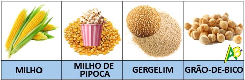 Pipoca, grão-de-bico, milho