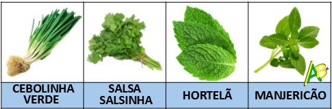 salsinha, hortelã, manjericão