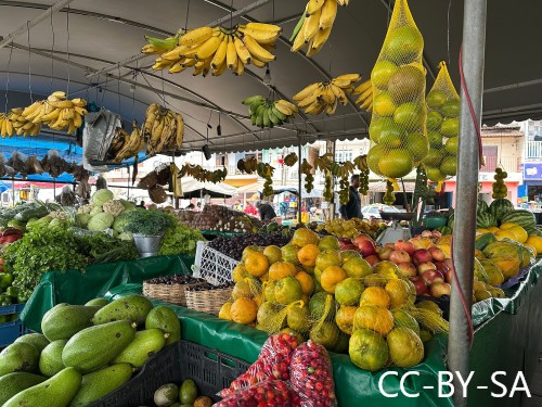 Comprar vegetais nas feiras livres