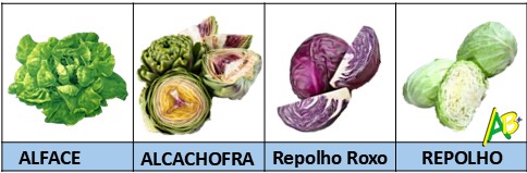 repolho, alcachofra, alface